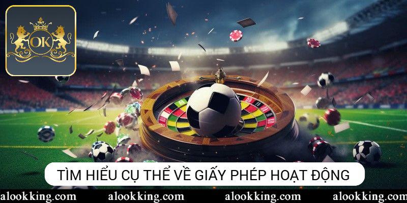 Giấy phép hoạt động cùng thông tin tổng quan 